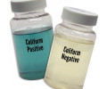 EZ Coliform Cult 박테리아 검사키트 Bacteria kit
