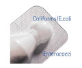 Readycult Coliform 총대장균용 수질검사 키트 ﻿