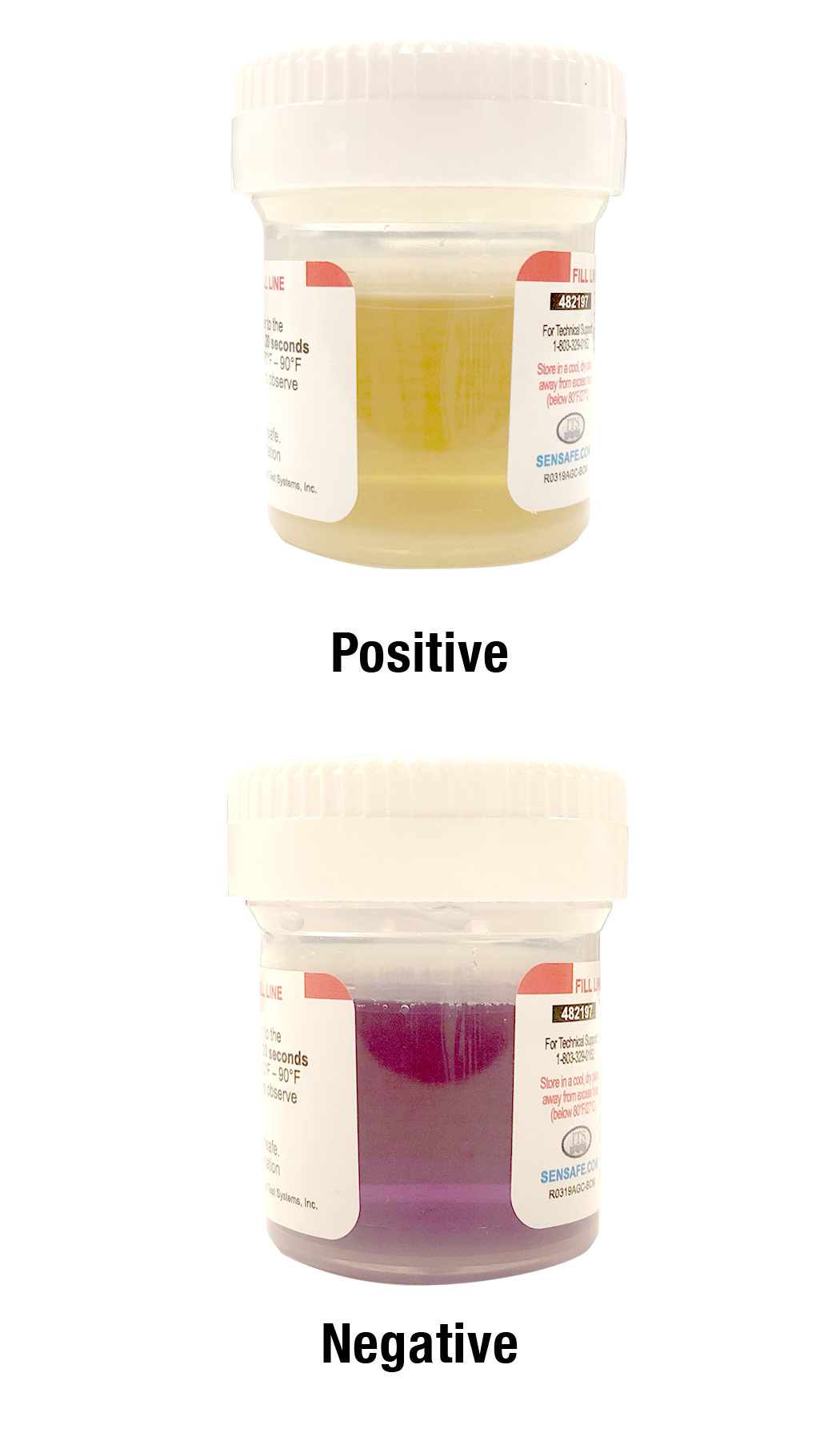 482197-2 박테리아 검사키트 Bacteria Check Mini